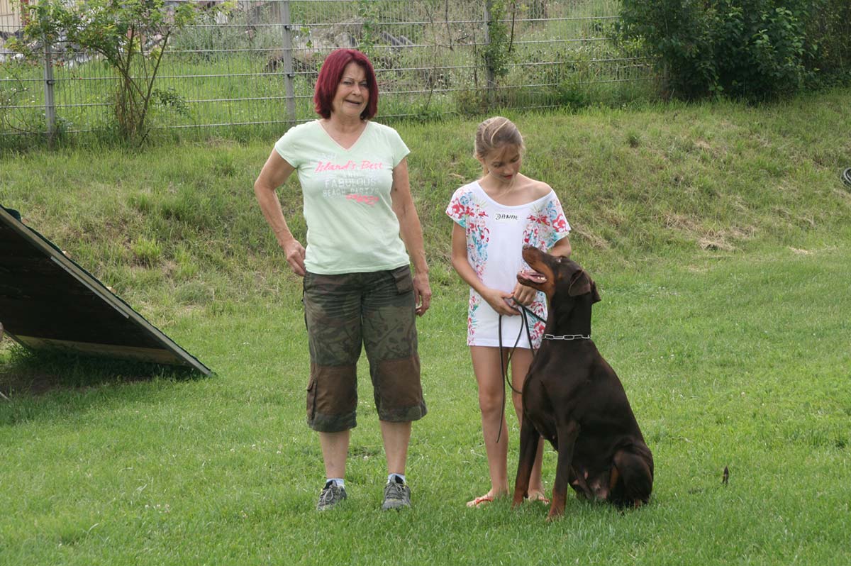 Hund2netz