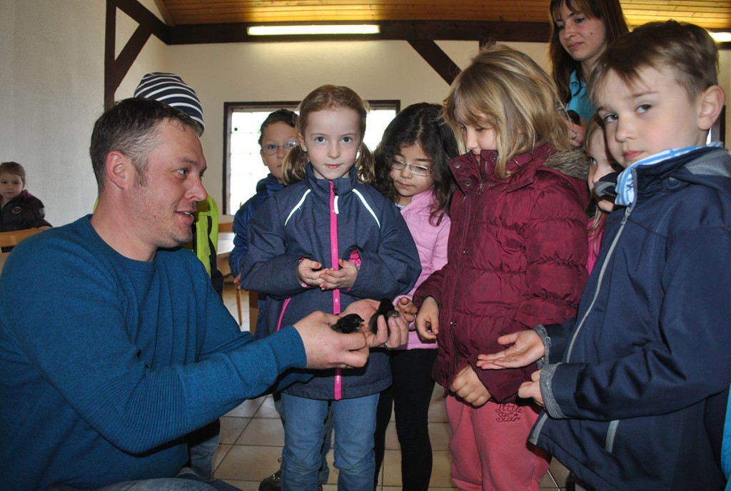 Jürgen Szekely vom Kleintierzuchtverein Bobstadt 1906 zeigte den begeisterten Kindern die jungen Küken. Foto: Benjamin Kloos