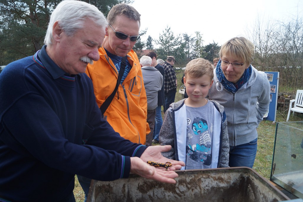 Amphibienexperte Gerd Will erklärte den Besuchern die Tiere in den Schaukästen, darunter den Feuersalamander aus dem benachbarten Odenwald. Foto: Sigrid Samson